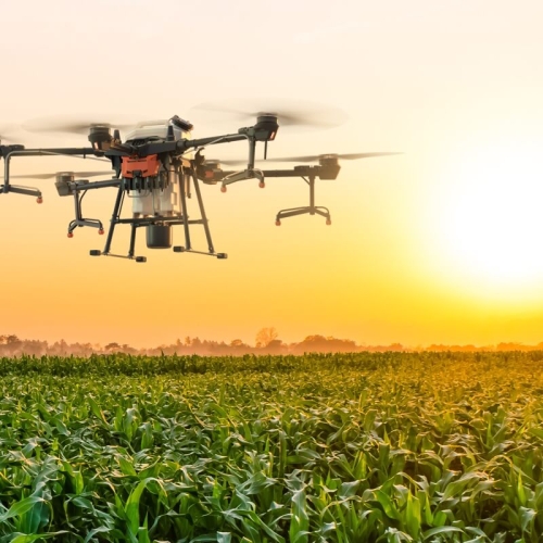 Smart Agriculture With MMW Radar On Drones of Open Source Platform